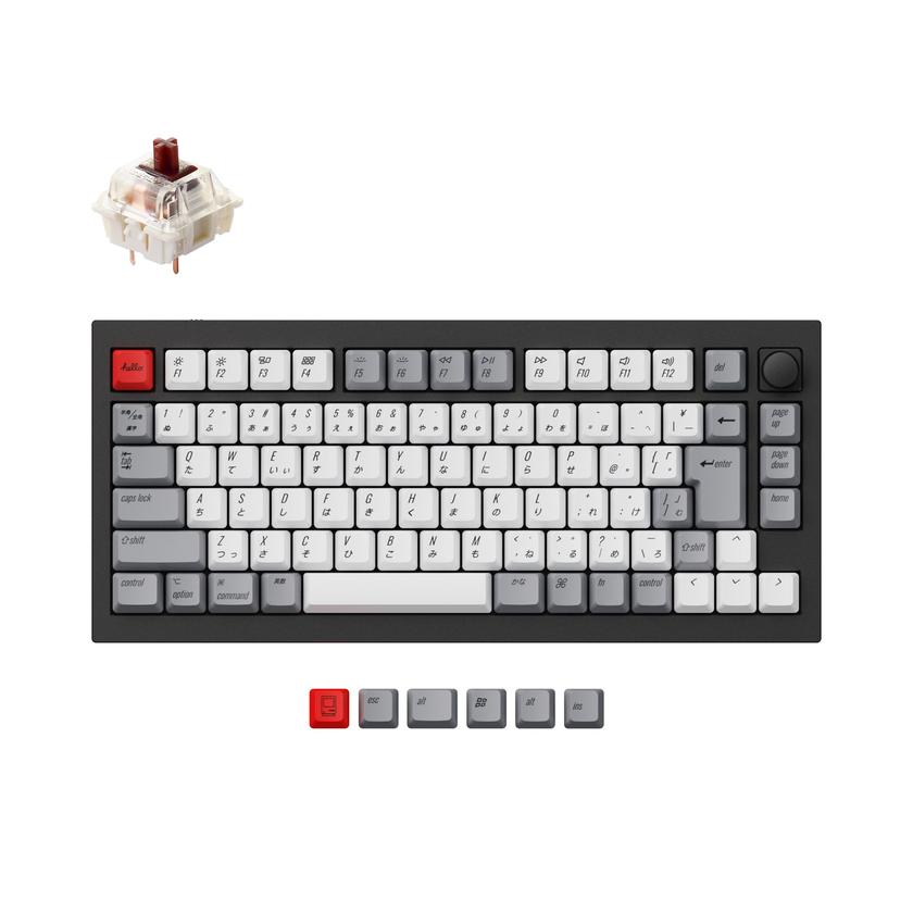 Keychron Q1 QMK Custom Mechanical Keyboard (Japan JIS Layout) Best Price